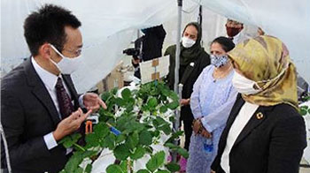 アジアモンスーンモデル植物工場システムの社会実装に着手　国際農研