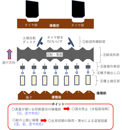 畝立て乾田直播機の概念図