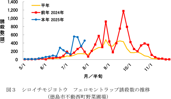 図3：シロイチモジヨトウフェロモントラップ誘殺数の推移（徳島市不動西町野菜圃場）