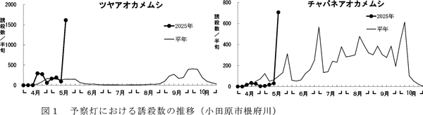 図1：予察灯における誘殺数の推移（小田原市根府川）