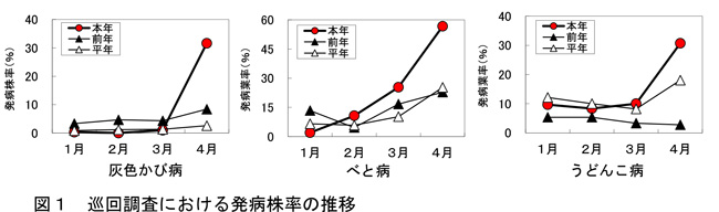 図1：巡回調査における発病株率の推移