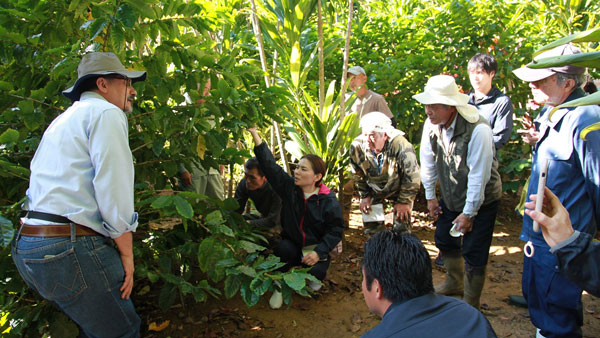 コロンビアから招いた農業技師の説明に聞き入る徳之島コーヒー生産者会の生産者