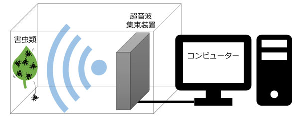 超音波集束装置を用いた害虫類の離脱試験の模式図