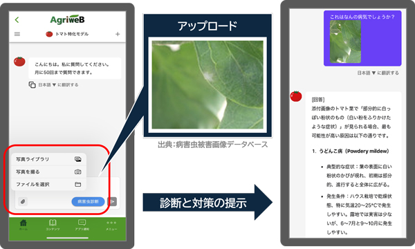 栽培アシストAI「病害虫画像診断」の使い方