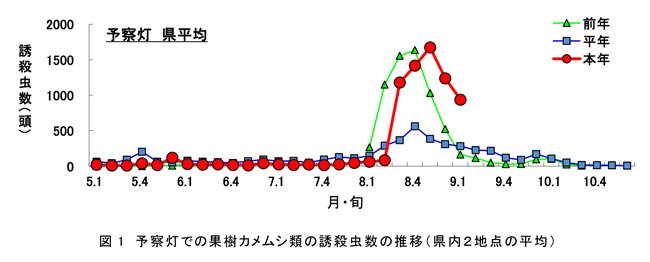 【注意報】果樹全般に果樹カメムシ類　多発のおそれ　佐賀県