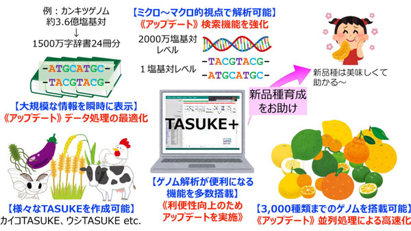 TASUKE+の機能とアップデートの概要（一部）