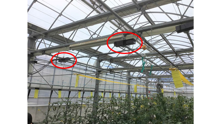 磁歪材料による振動発生装置（東北特殊鋼製）をパイプに設置したトマト栽培施設