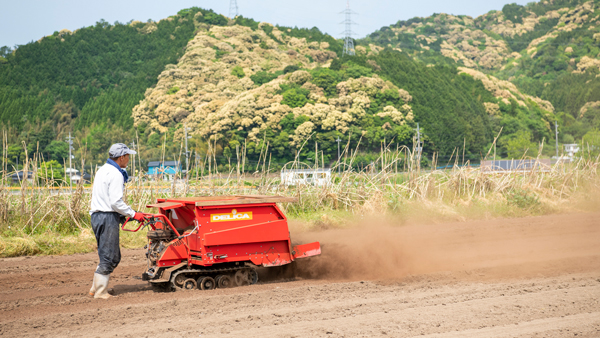 自社の鶏糞堆肥を畑にまいて肥料として活用