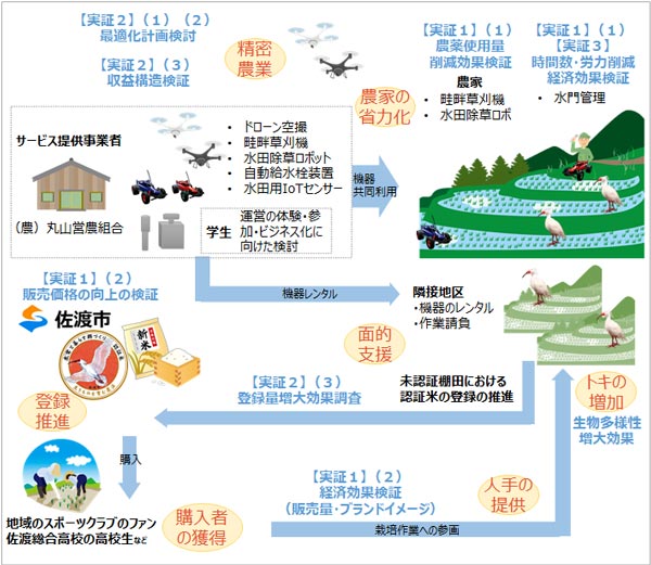 実証の全体像