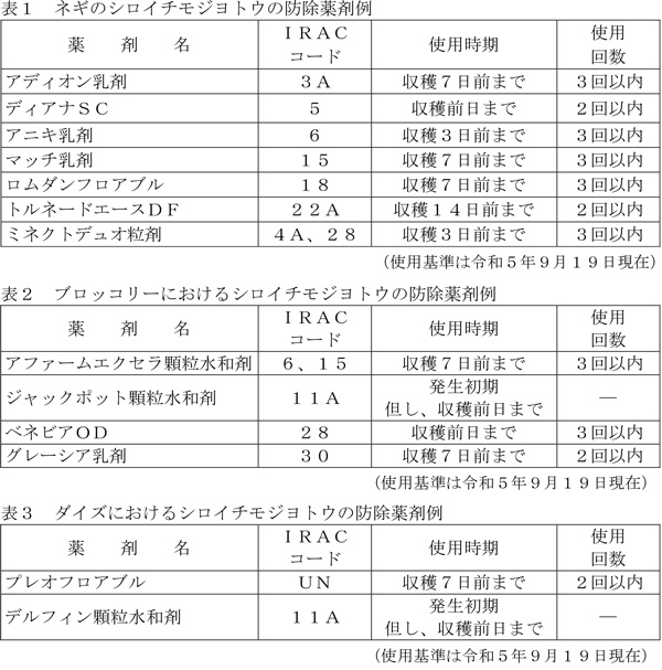 【注意報】ネギ、ブロッコリー、ダイズにシロイチモジヨトウ　県内全域で多発のおそれ　埼玉県