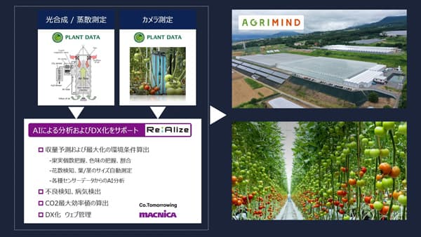 植物の生体データとAI用いた収量予測・コスト最適化へ実証実験開始　PLANT DATAなど3社