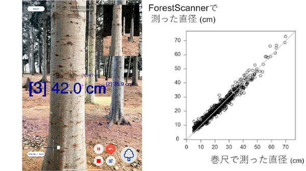 ForestScannerのスクリーンショット・ForestScannerと巻尺で測った木の直径の対応関係