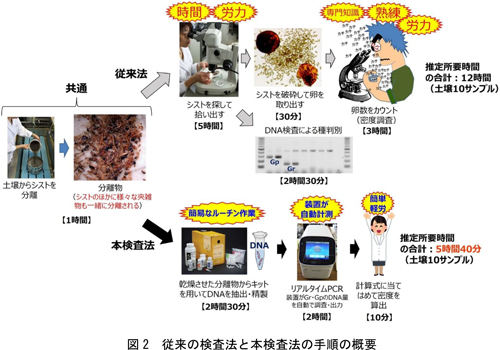図2：従来の検査法と本検査法の手順の概要