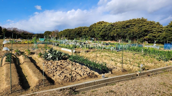 豊橋市の市民ふれあい農園