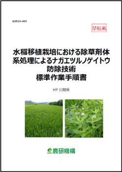 「水稲移植栽水稲移植栽培における除草剤体系処理によるナガエツルノゲイトウ防除技術標準作業手順書