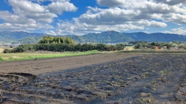 高機能バイオ炭散布直後の圃場の様子（新福青果圃場）※右側黒い箇所が散布エリア