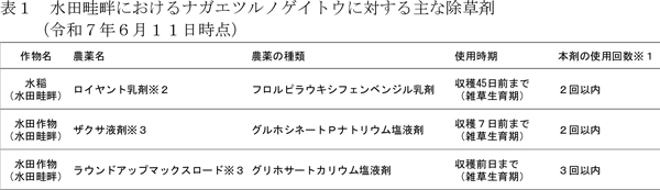表1：水田畦畔におけるナガエツルノゲイトウに対する主な除草剤（6月11日時点）