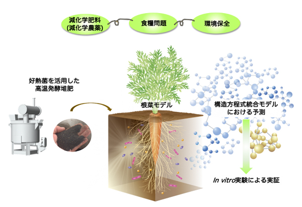 研究の概要