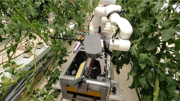 図2：開発した下葉処理ロボット