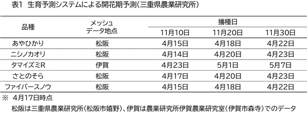 表1：生育予測システムによる開花期予測（三重県農業研究所）