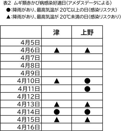 表2：ムギ類赤かび病感染好適日（アメダスデータによる） ●：降雨があり、最高気温が20℃以上の日（感染リスク大） ▲：降雨があり、最高気温が20℃未満の日（感染リスクあり）