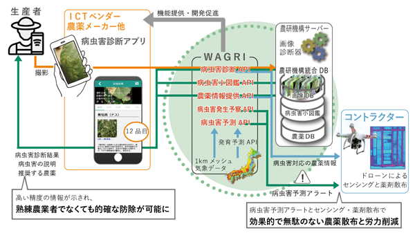 図2：AI病虫害診断API