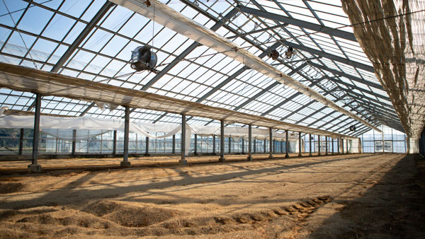 名古屋大発ベンチャーのグランドグリーン「豊橋第2研究農場」を開設