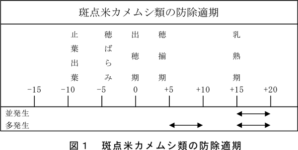 図1：斑点米カメムシ類の防除適期