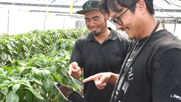 ピーマン生産者の橋口仁一さんとテラスマイルの中園英太郎さん