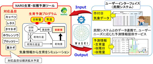 「NARO生育・収量予測ツール」の利用概要