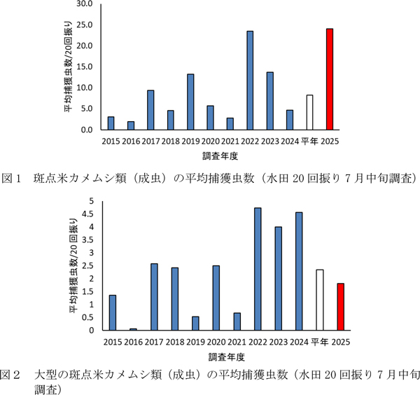 図1：斑点米カメムシ類（成虫）の平均捕獲虫数（水田20回振り7月中旬調査）、図2：大型の斑点米カメムシ類（成虫）の平均捕獲虫数（水田20回振り7月中旬調査）