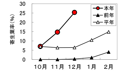 図1：巡回調査におけるハダニ類の寄生葉率の推移