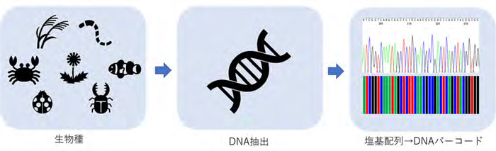 DNAバーコード計画の概要
