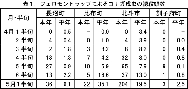 表1：フェロモントラップによるコナガ成虫の誘殺頭数