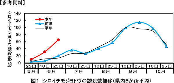 図1：シロイチモジヨトウの誘殺数推移（県内5か所平均）