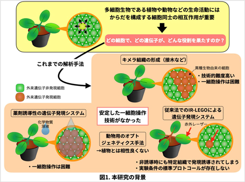 図1：研究の背景
