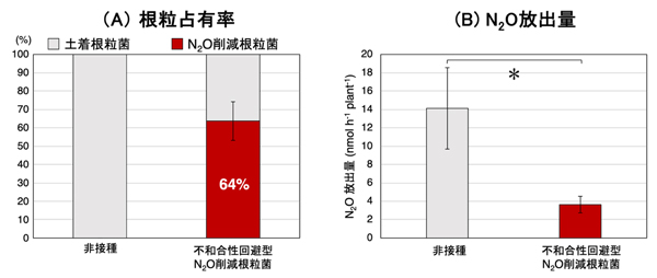 ほ場での検証結果