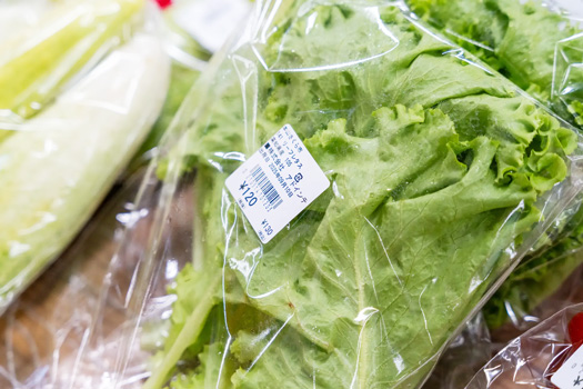 高知で「未来型農業」始動 水耕栽培野菜を販売開始 アドインテ