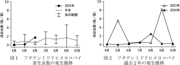 図1：フタテンミドリヒメヨコバイの寄生虫数の発生推移と図2：フタテンミドリヒメヨコバイの過去2年の発生推移