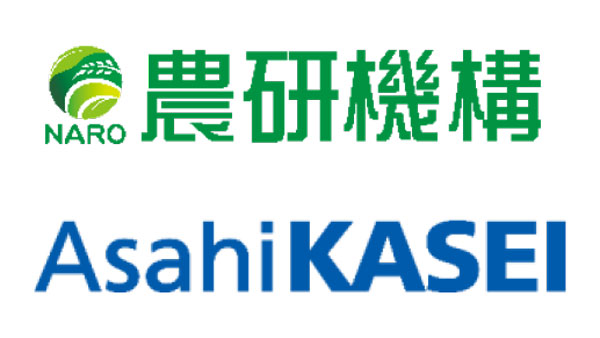 バイオマスが肥料源　養液栽培技術ベンチャー「農研ネイチャー・ポニックス」設立.jpg