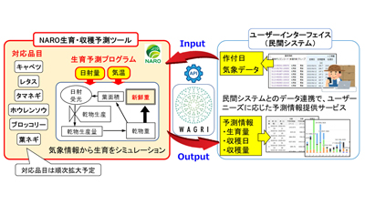 WAGRIに対応　露地野菜の生育予測API　試験利用登録を開始　農研機構