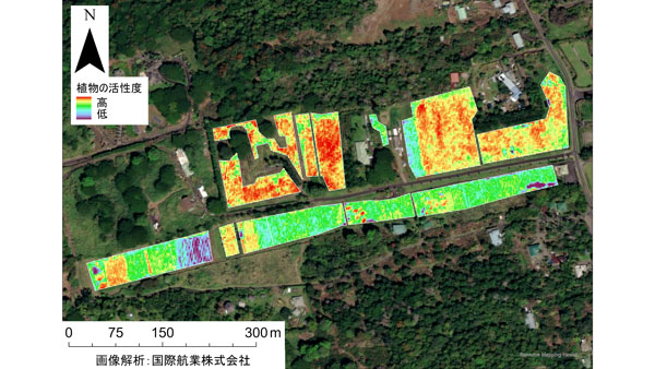 UCCハワイコナコーヒー直営農園における衛星画像解析イメージ。植物の活性度を示すヒートマップで、赤が濃いほど活性度が高く、赤→黄→緑→青→紫の順に活性度が低い