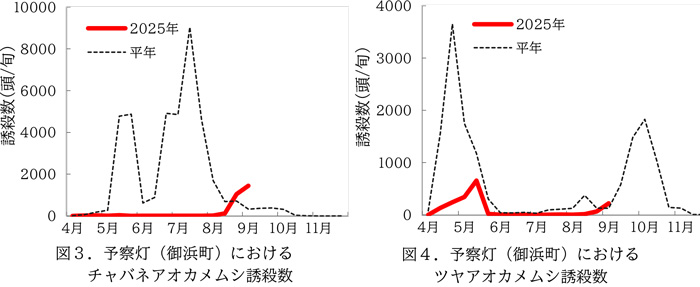 図3：予察灯（御浜町）におけるチャバネアオカメムシ誘殺数、図4：予察灯（御浜町）におけるツヤアオカメムシ誘殺数
