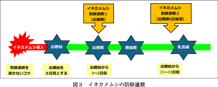 図3：イネカメムシの防除適期