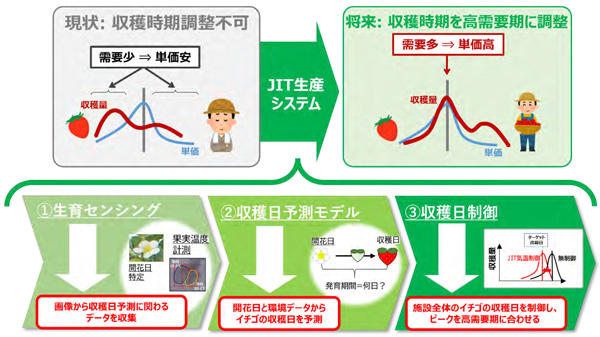 イチゴのジャストインタイム生産へ　収穫日の精密予測・制御技術を開発　農研機構