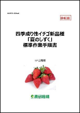 「四季成り性イチゴ新品種『夏のしずく』標準作業手順書」