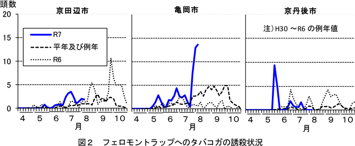図2：フェロモントラップへのタバコガの誘殺状況