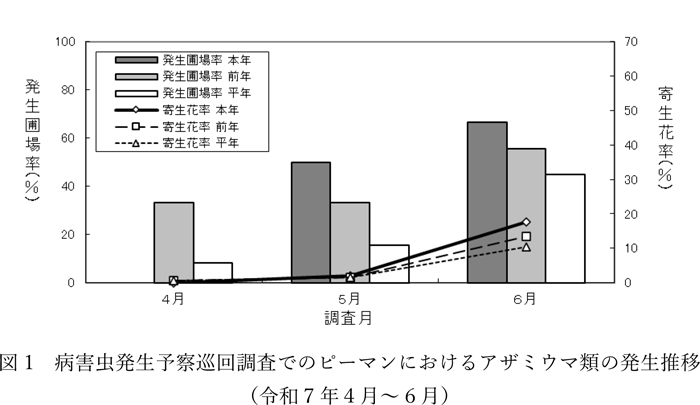 図1：病害虫発生予察巡回調査でのピーマンにおけるアザミウマ類の発生推移（令和7年4月～6月）