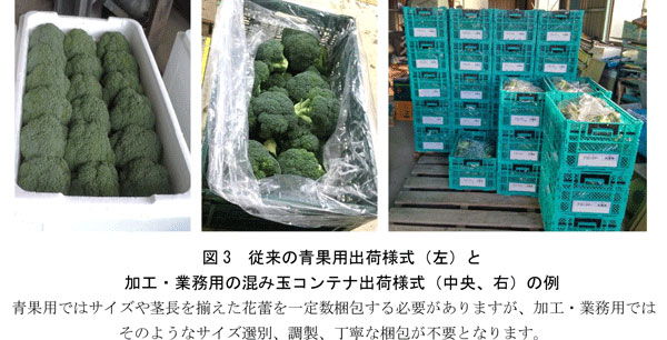 図3:従来の青果用出荷様式(左)と加工・業務用の混み玉コンテナ出荷様式(中央、右)の例