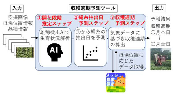 収穫適期予測技術の概要